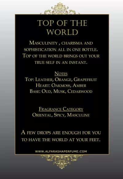 Top of the world 100ml